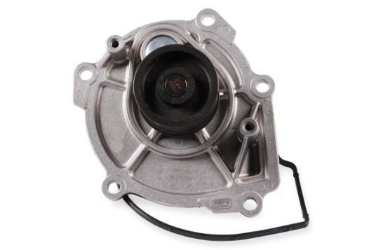 HEPU P1724 Vannpumpe