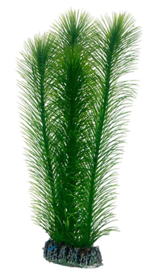 Mayaca Green 25 cm Mayaca Green 25 cm