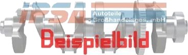 Veivaksel IPSA ck015300