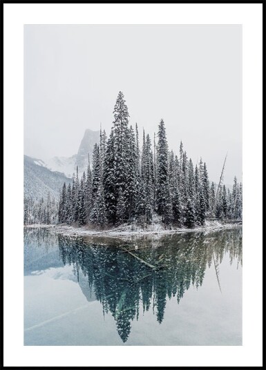 Snowy Trees Near Lake Plakat Plakat / 100x150cm