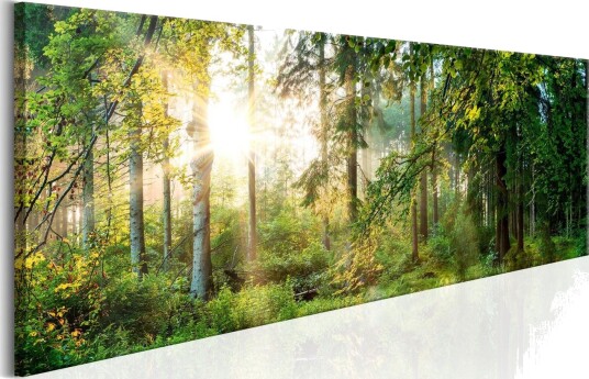 Tavle Forest Shelter 120X40 Artgeist sp. z o. o.