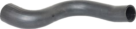 BUGIAD 88596 Ladeluftslange BUGIAD 88596 Ladeluftslange
