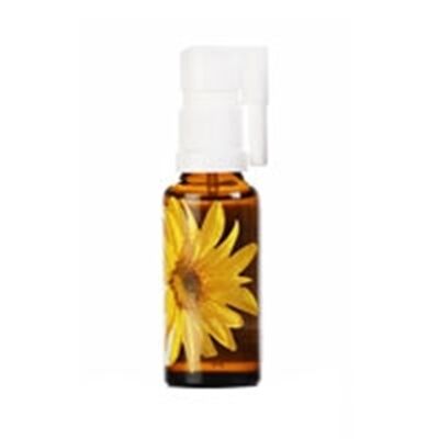 Arnica Munnspray
