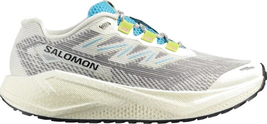 Salomon, Herre, Sport, Hvit, 46 EU,