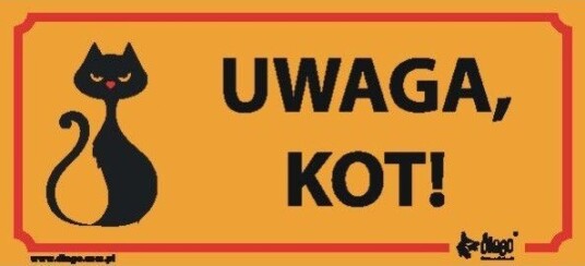 Dingo Tavle. Obs Katt 17211 49969