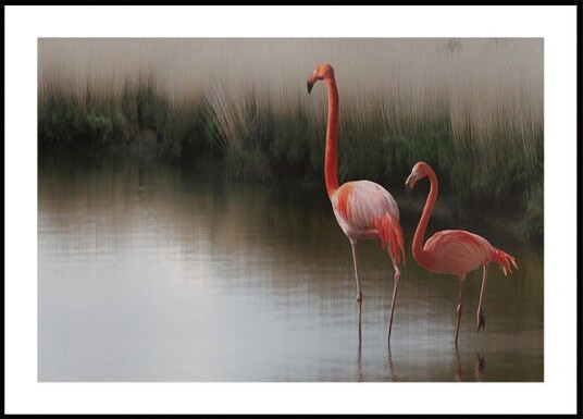 so zen ... Plakat / 70x100cm so zen ... Plakat / 70x100cm
