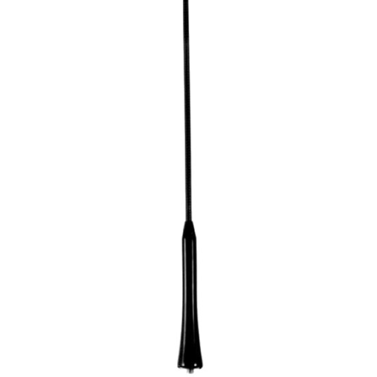 CARPOINT 2010056 Antenne CARPOINT 2010056 Antenne