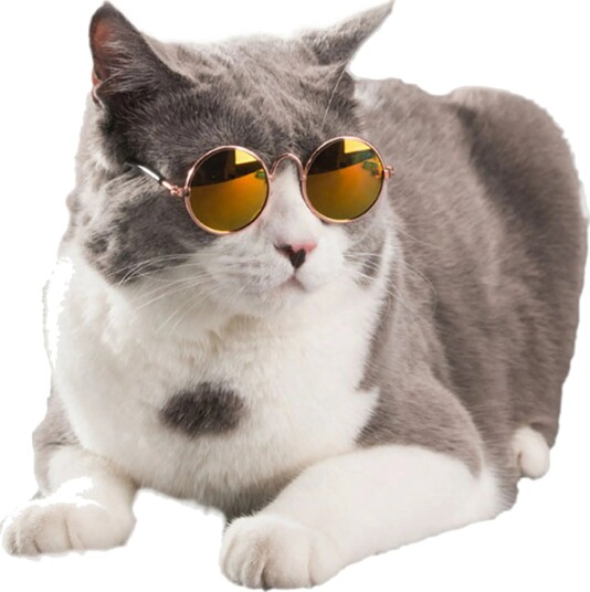 Catsson Briller til Katt/Hund Gul PK00445