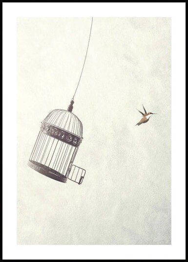 Flying Towards Freedom Plakat Plakat / 100x150cm