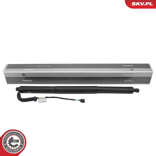 Elektromotor bakluke ESEN SKV 52SKV228
