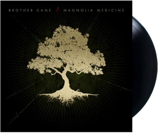 Magnolia Medicine Magnolia Medicine