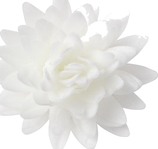 Spiselig Kakepynt Rose Hvit 5,5cm Pk/18 | Slikkepott.No