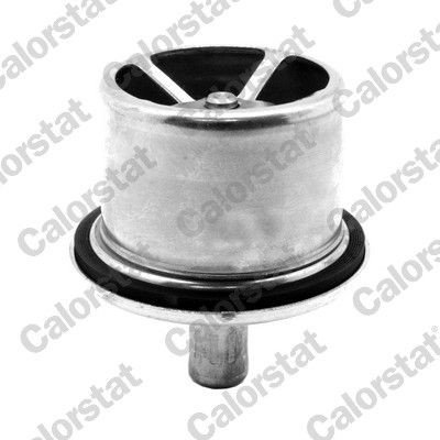 Termostat CALORSTAT by Vernet THS19103.83J