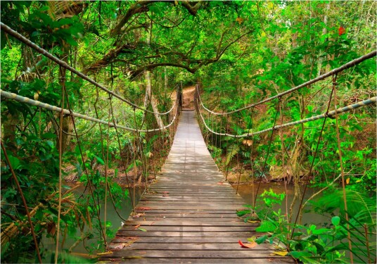 Fototapet Bridge Amid Greenery 200x140 - Artgeist sp. z o. o.