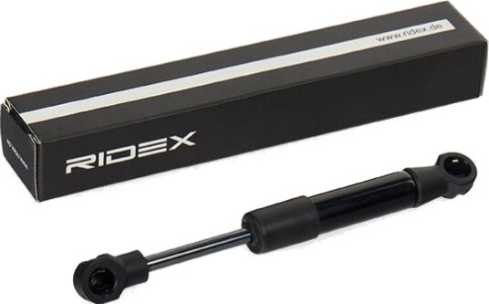 RIDEX 219G0375 Baklukedemper