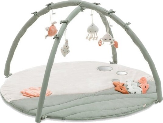 Hauck Relax N Watch Babygym Water Animals