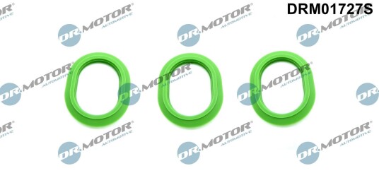 Pakkningssett innsugningsmanifold Dr.Motor Automotive DRM01727S