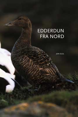 Edderdun fra nord Edderdun fra nord