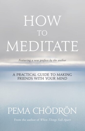 How to Meditate A Practical Guide to Making Friends with Your Mind