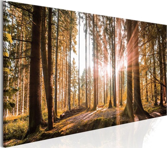 Tavle Small Natural Wonders 120X40 Artgeist sp. z o. o.