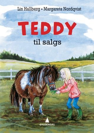Teddy til salgs Innbundet Pent brukt bok