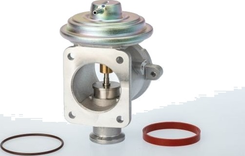 EGR ventil BorgWarner 710924D/1