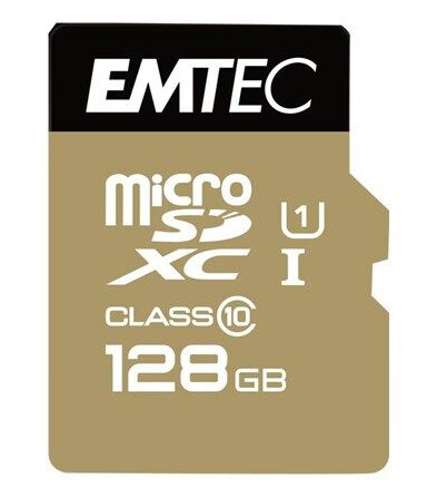 Emtec Gold+