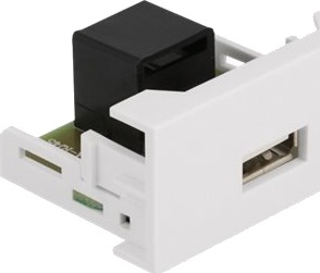 Delock Easy 45 USB trykklåsmodul hvit