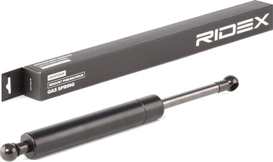 RIDEX 219G0502 Baklukedemper
