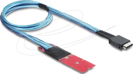 Delock - Sas Intern Kabel - M.2 M-Nøkkel (Hann) Til Oculink (Sff-8611) (Hann) - 45 Cm