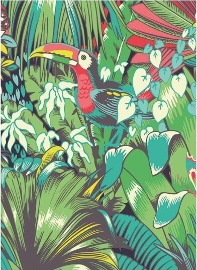 Museums & Galleries Kort B6 Med Konvolutt Toucan
