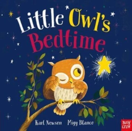 Little Owl'S Bedtime Av Karl Newson