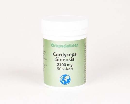 CORDYCEPS SINENSIS CORDYCEPS SINENSIS