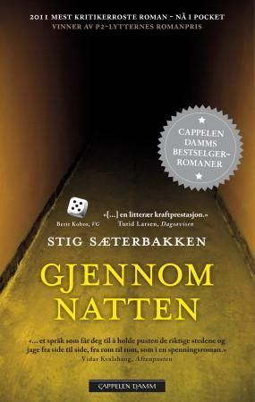 Cappelen Damm As Gjennom natten