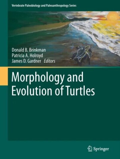 Morphology And Evolution Of Turtles
