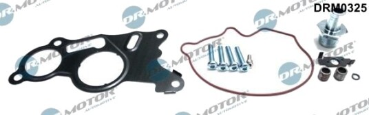 Reparatorsett, undertrykkspumpe (bremseanlegg) DR.MOTOR AUTOMOTIVE DRM0325