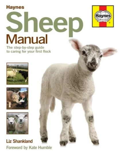 Sheep Manual Av Liz Shankland Sheep Manual Av Liz Shankland