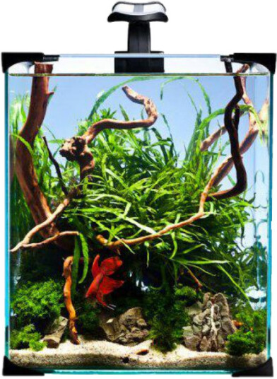 Akvarium Nano Led 20 25 X 25 X 30 cm