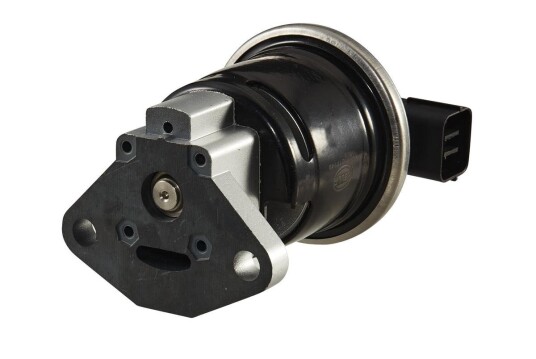 EGR Ventil HELLA 6NU 010 171-491 EGR Ventil HELLA 6NU 010 171-491
