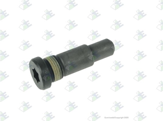 Bolt Euroricambi 60531671