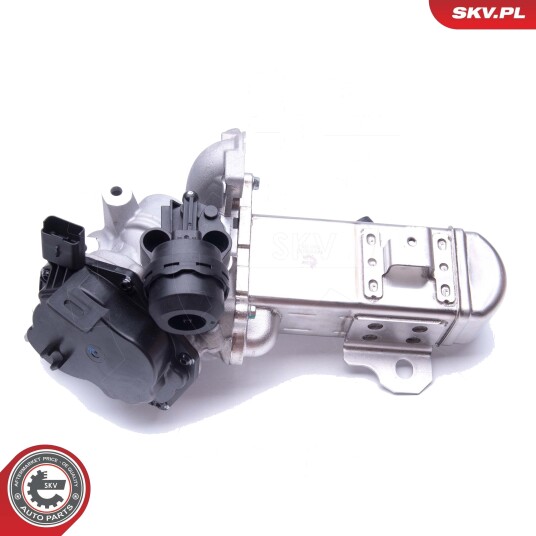 EGR ventil ESEN SKV 14SKV157