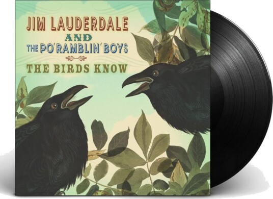 Birds Know Vinyl