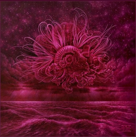 Garden Of Storms