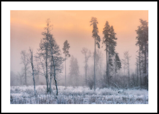 Frosty morning Plakat Plakat / 100x150cm