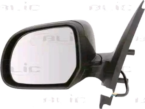 BLIC 5402-67-004367P Sidespeil