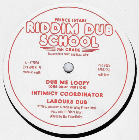 Riddim Dub School 7th Grade