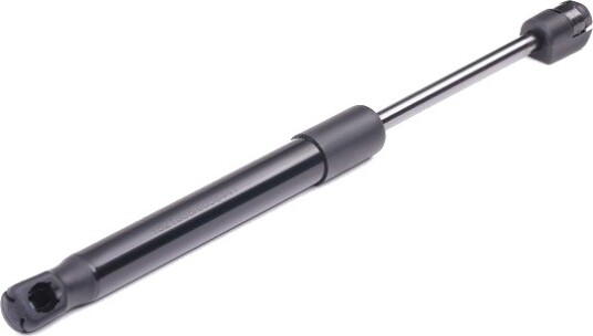 RIDEX 219G0061 Baklukedemper