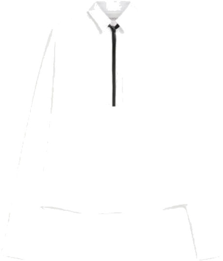 Sportmax Dame Bluser & Skjorter Hvit S,