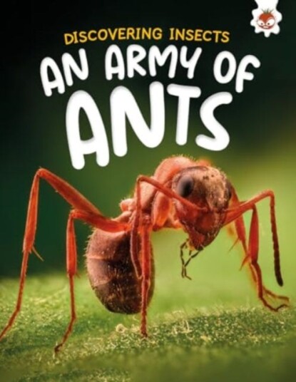 Discovering Insects: An Army of Ants Discovering Insects: An Army of Ants