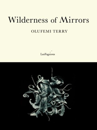 Wilderness of Mirrors Wilderness of Mirrors